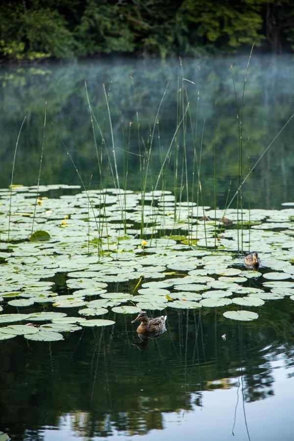 Riverland Gornji Zvečaj Dış mekan fotoğraf